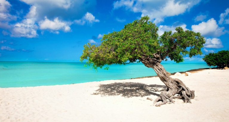 Aruba? HPE Aruba?