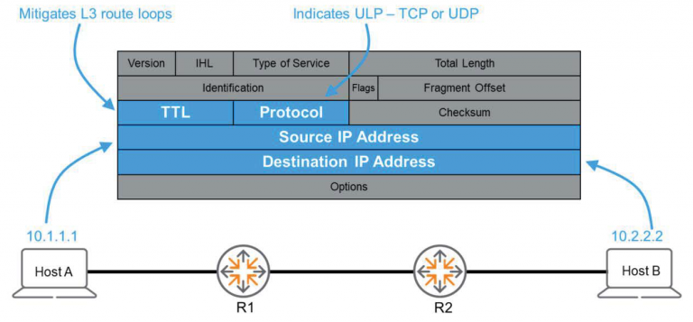 IPv4 Header